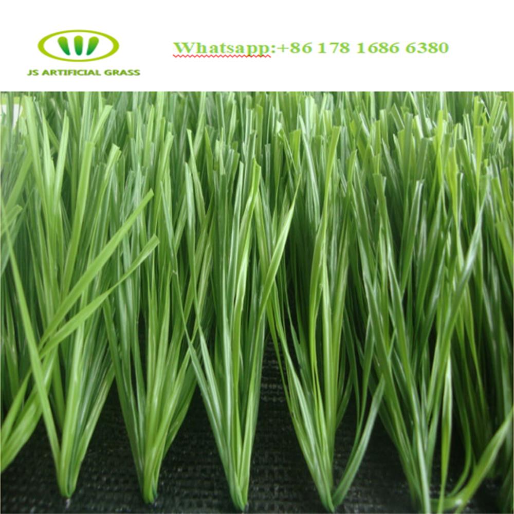  football field grass.jpg