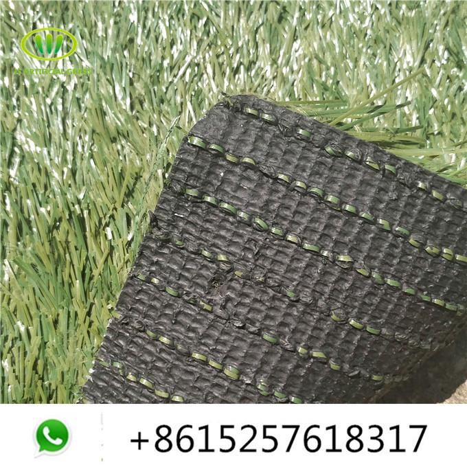 соццер грасс04.јпг