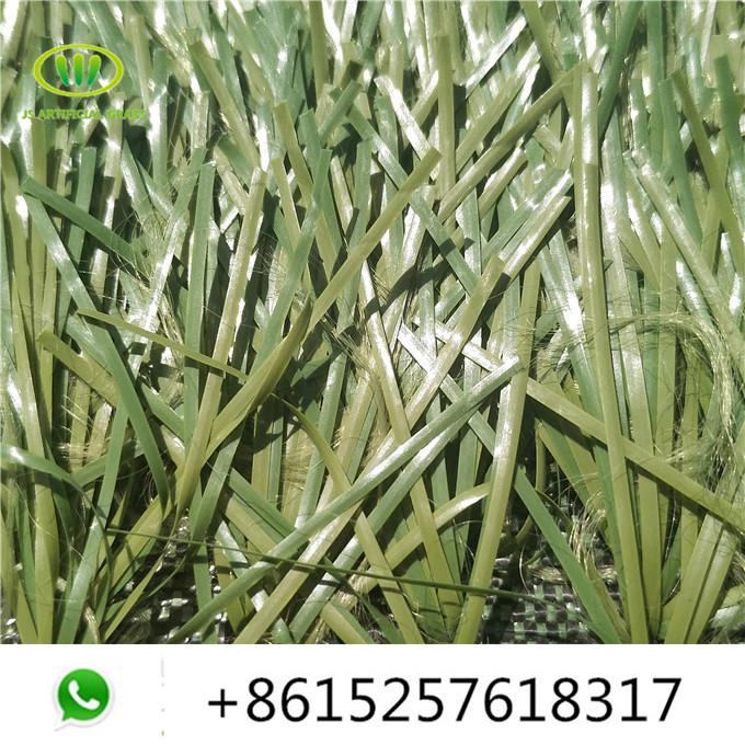 соццер грасс02.јпг