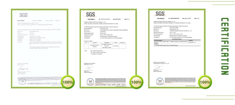 jiangsen artificial grass certificate.jpg