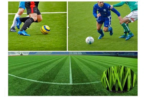 Non-infill football grass soccer field