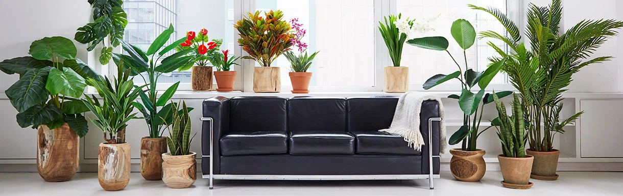 product-1220-385 product-1220-385