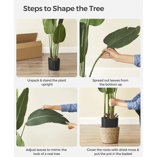 Can change shape at will Can change shape at will
