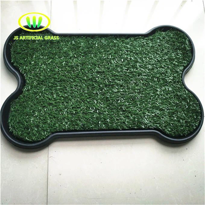 Best Artificial Turf For Dogs