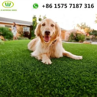 Umjetna trava i psi
