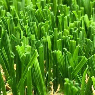 В Облик 50мм Ландсцапинг Грасс УСА