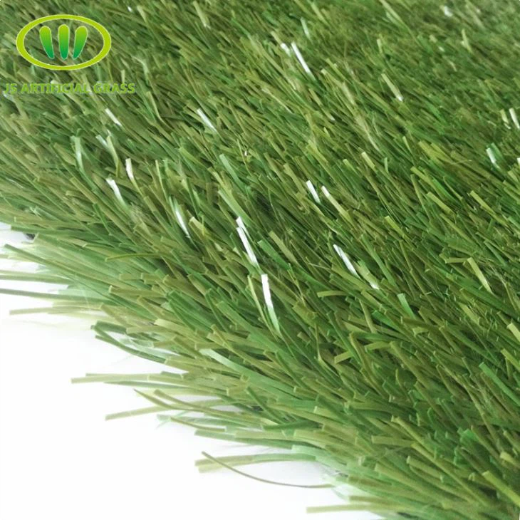 Soccer Grass