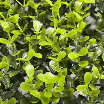 Artificial Boxwood