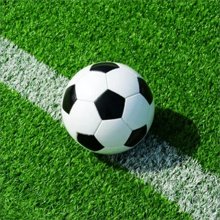 Фудбалска трава